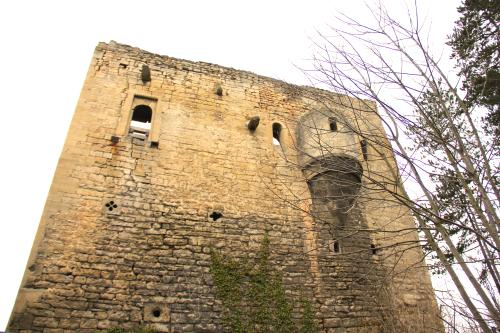 Lobdeburgruine, © Löwe KIJ