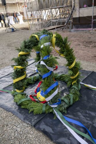 &copy; Arlene Knipper