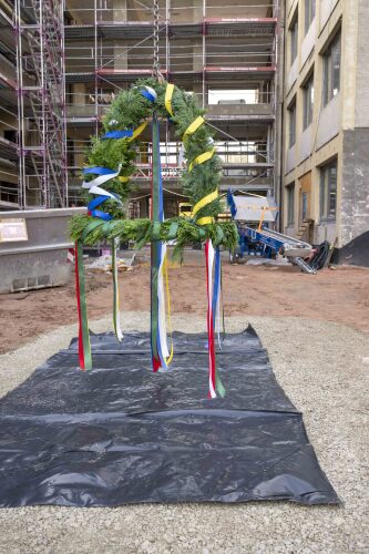 &copy; Arlene Knipper