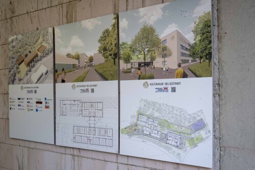 &copy; Arlene Knipper