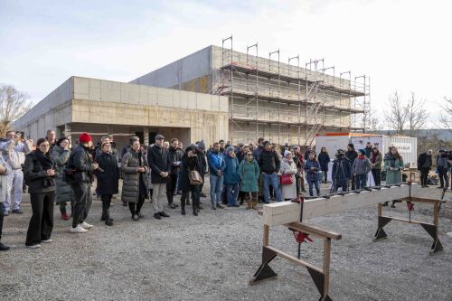 &copy; Arlene Knipper