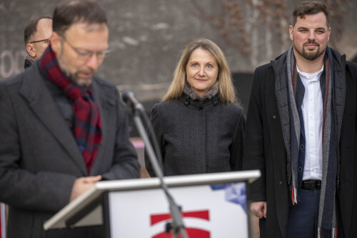 &copy; Arlene Knipper