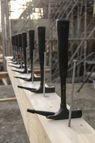 &copy; Arlene Knipper