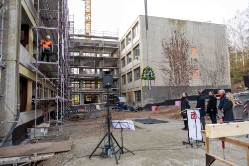 &copy; Arlene Knipper